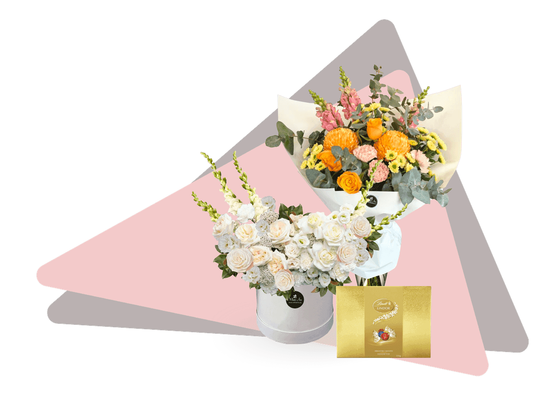 White Iris Banner