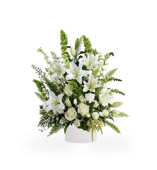 Image of Diana