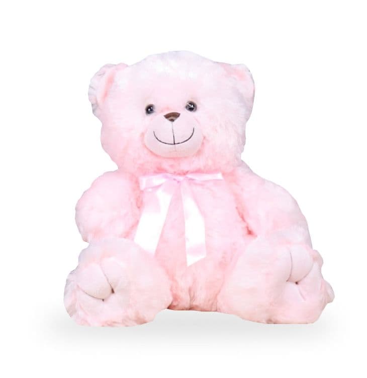 Image of Teddy Bear Pink