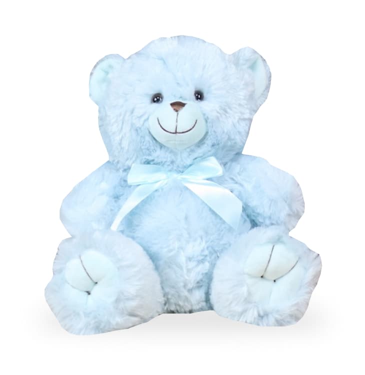 Image of Teddy Bear Blue
