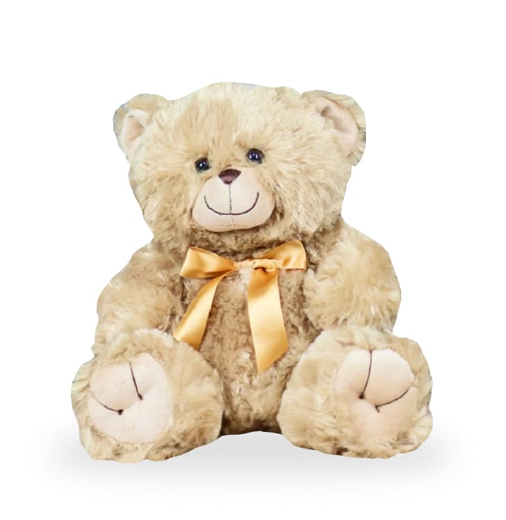Image of Teddy Bear