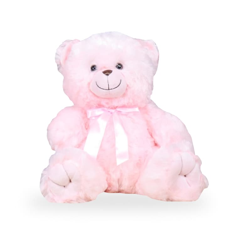 Image of Teddy Bear Pink