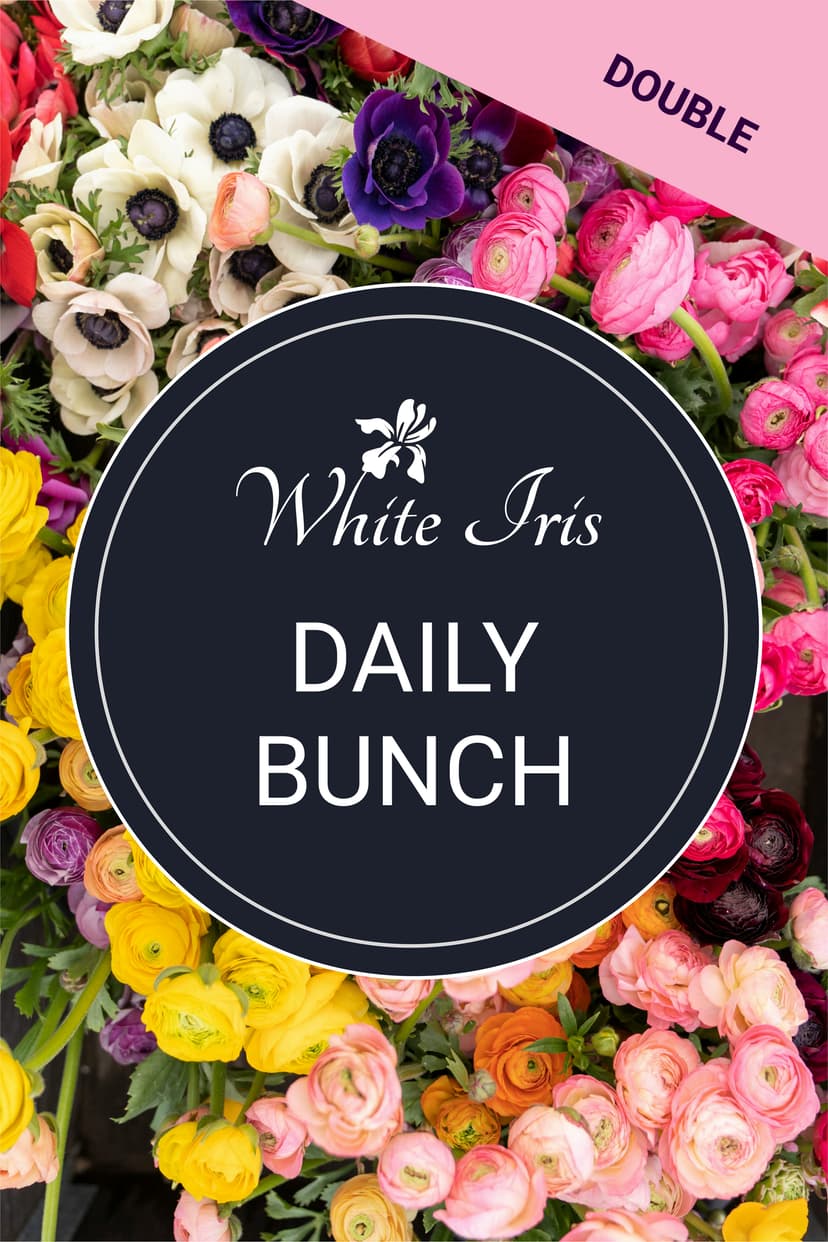 Thumbnail of Daily Bunch - Double Size