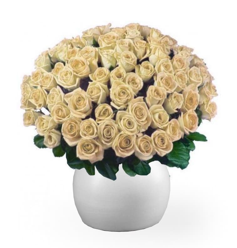 Image of 100 Long White Roses