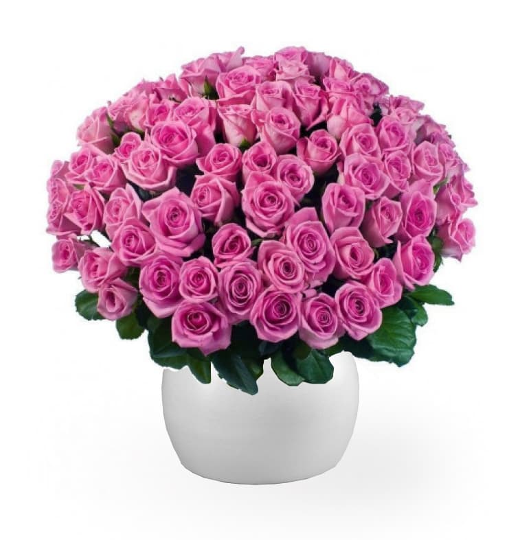 Thumbnail of 100 Long Pink Roses