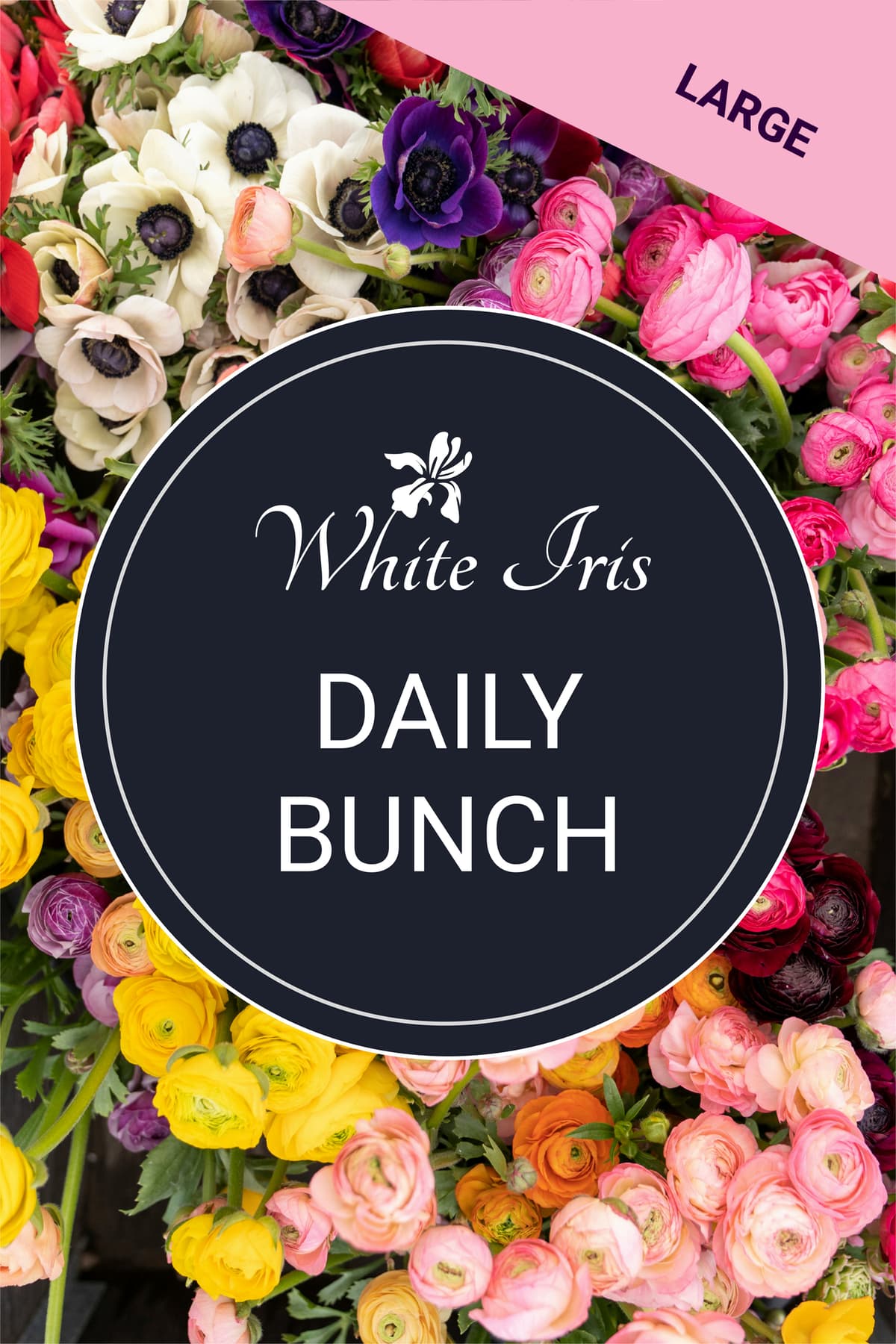 Image of Daily Bunch - Large