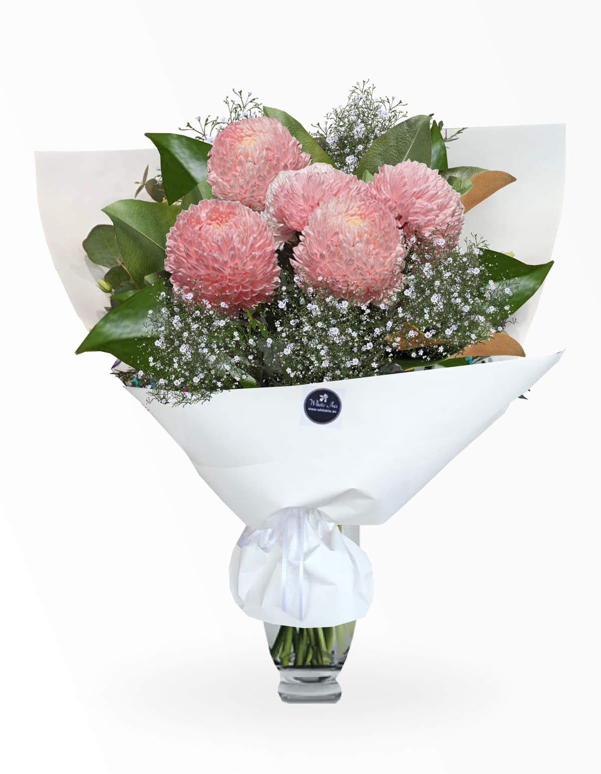 Image of Chrysanthemums