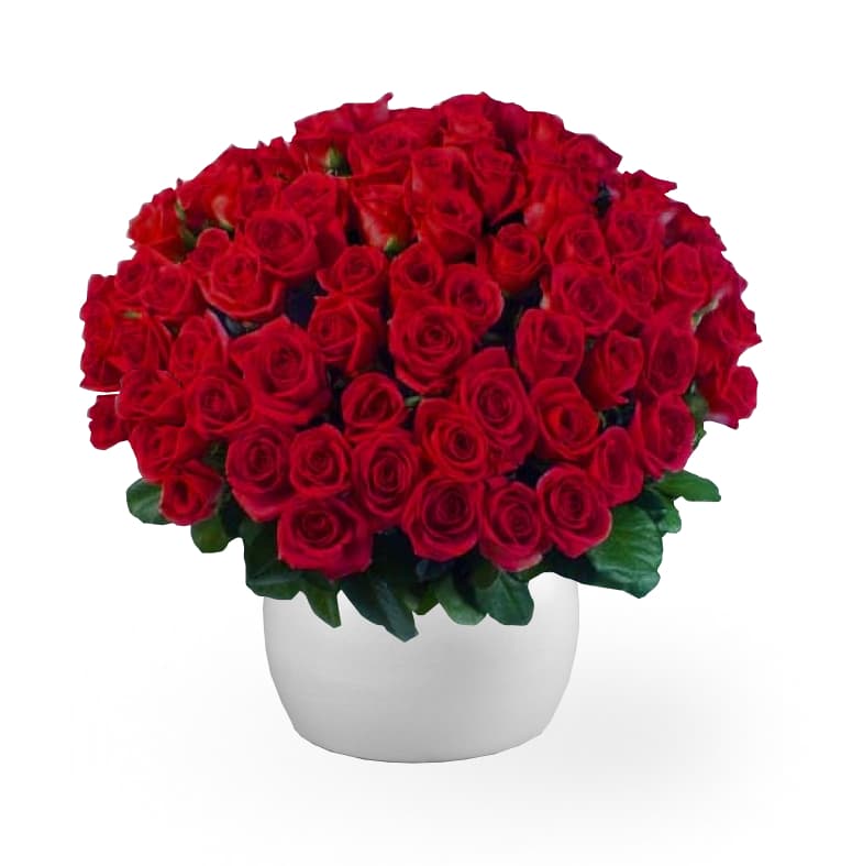 Thumbnail of 100 Long Red Roses
